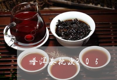 普洱茶批次205/2023041161794