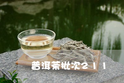 普洱茶批次211/2023041065936