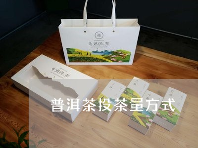 普洱茶投茶量方式/2023041184918