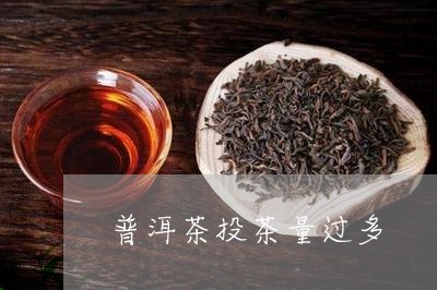 普洱茶投茶量过多/2023041197171