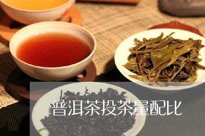 普洱茶投茶量配比/2023041156168