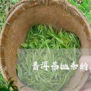 普洱茶抛条的工艺/2023040186281