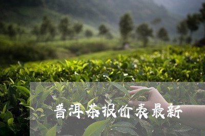 普洱茶报价表最新/2023041349503