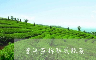 普洱茶拆解成散茶/2023041132371