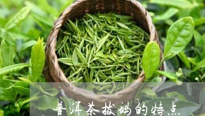 普洱茶拔玛的特点/2023041348592