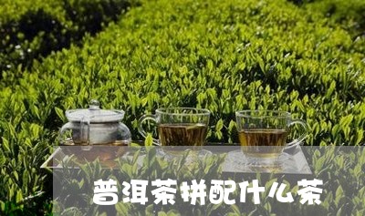 普洱茶拼配什么茶/2023041171926