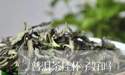 普洱茶挂杯子好吗/2023040968381