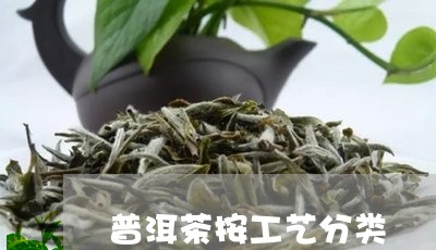 普洱茶按工艺分类/2023040951727