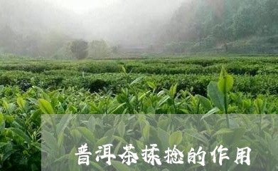 普洱茶揉捻的作用/2023031758373