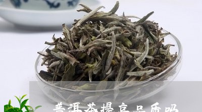 普洱茶提高品质吗/2023031684927