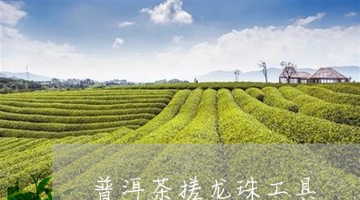 普洱茶搓龙珠工具/2023041092613