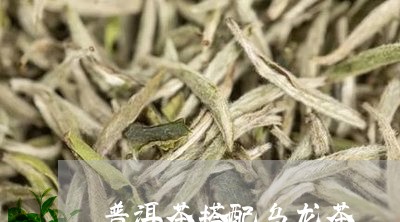 普洱茶搭配乌龙茶/2023041138169