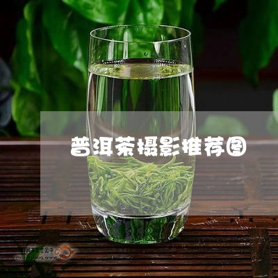 普洱茶摄影推荐图/2023041374704