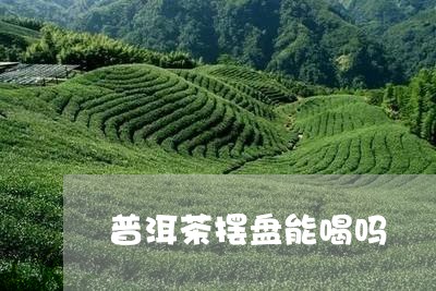 普洱茶摆盘能喝吗/2023040177058