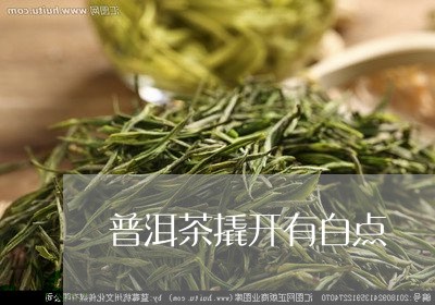 普洱茶撬开有白点/2023041082837