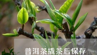 普洱茶撬茶后保存/2023041159735