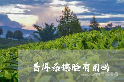 普洱茶擦脸有用吗/2023033141603