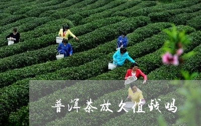 普洱茶放久值钱吗/2023040139414