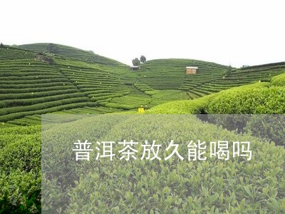 普洱茶放久能喝吗/2023033054037