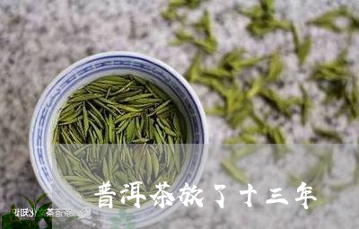 普洱茶放了十三年/2023041324937