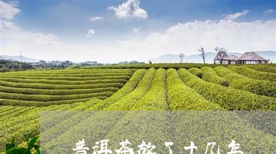 普洱茶放了十几年/2023033048380