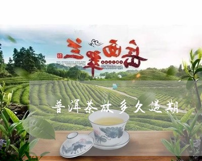 普洱茶放多久过期/2023041328161