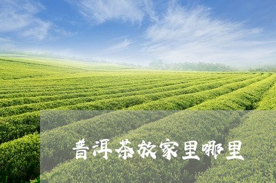 普洱茶放家里哪里/2023041063263