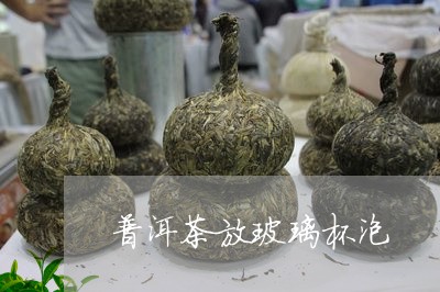 普洱茶放玻璃杯泡/2023033094835