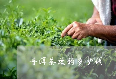 普洱茶放的多少钱/2023041220591