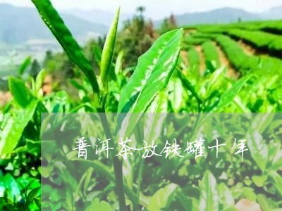 普洱茶放铁罐十年/2023033131695