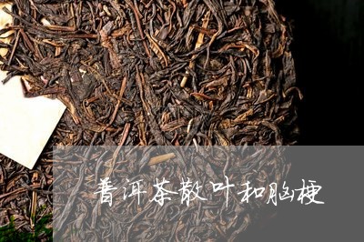 普洱茶散叶和脑梗/2023033142608