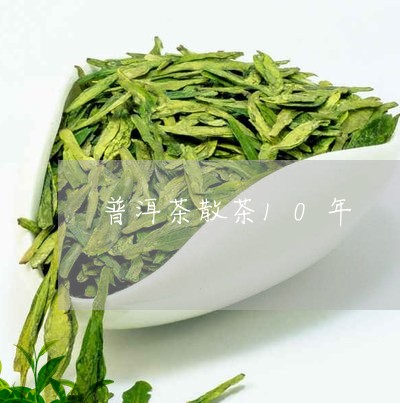 普洱茶散茶10年/2023031659374