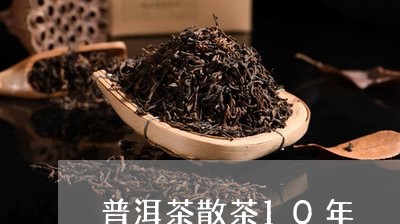 普洱茶散茶10年/2023041174816