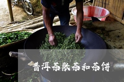 普洱茶散茶和茶饼/2023041192859