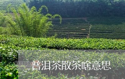 普洱茶散茶啥意思/2023031636957