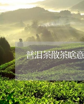 普洱茶散茶啥意思/2023041156250