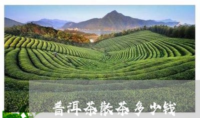 普洱茶散茶多少钱/2023031712736