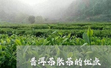 普洱茶散茶的优点/2023041186061