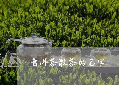 普洱茶散茶的名字/2023041196149