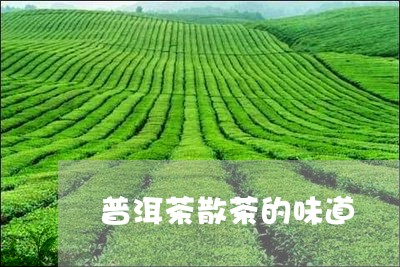 普洱茶散茶的味道/2023031648392