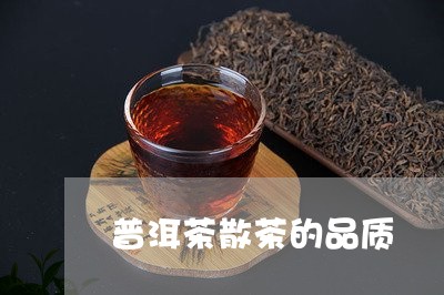 普洱茶散茶的品质/2023031685849