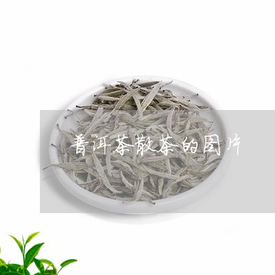 普洱茶散茶的图片/2023041114825