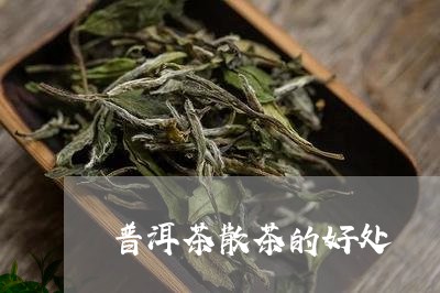 普洱茶散茶的好处/2023041135937