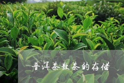 普洱茶散茶的存储/2023031677178