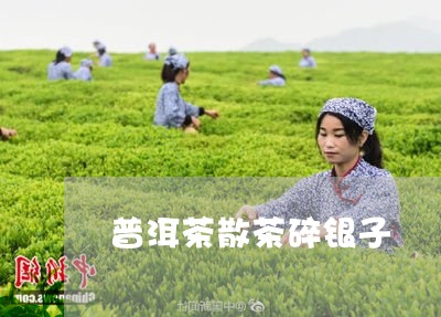 普洱茶散茶碎银子/2023031560703