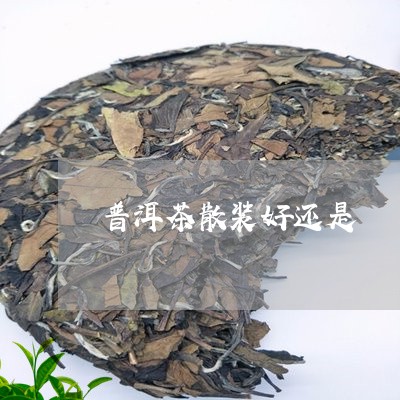 普洱茶散装好还是/2023040993926