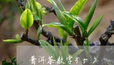 普洱茶数字357/2023041016481