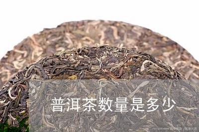 普洱茶数量是多少/2023040936360