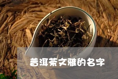 普洱茶文雅的名字/2023040925149