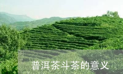 普洱茶斗茶的意义/2023031647042